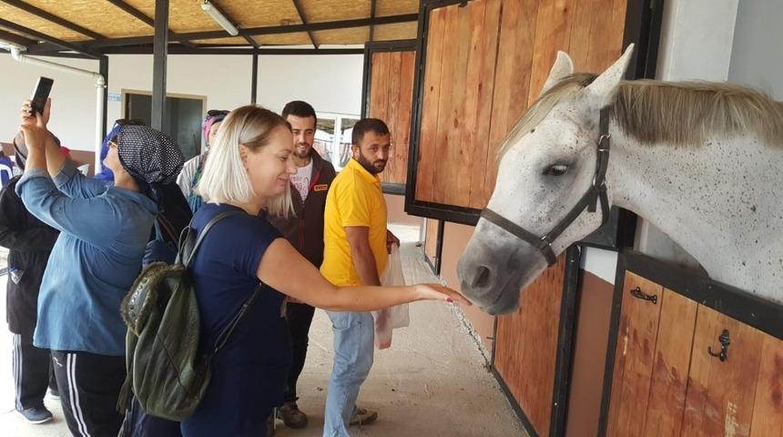 Kartepeli kadınlar y&uuml;r&uuml;y&uuml;şte