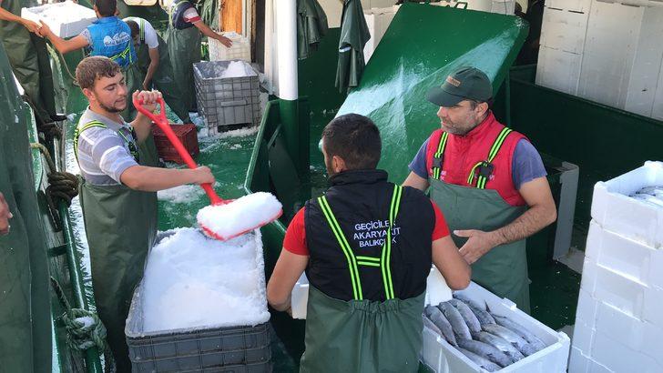 Akçakoca'da balıkçılar Karadeniz'den 40 ton palamutla döndü G2