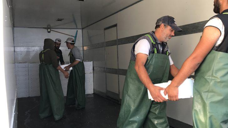 Akçakoca'da balıkçılar Karadeniz'den 40 ton palamutla döndü G4