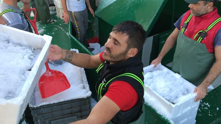 Akçakoca'da balıkçılar Karadeniz'den 40 ton palamutla döndü G5