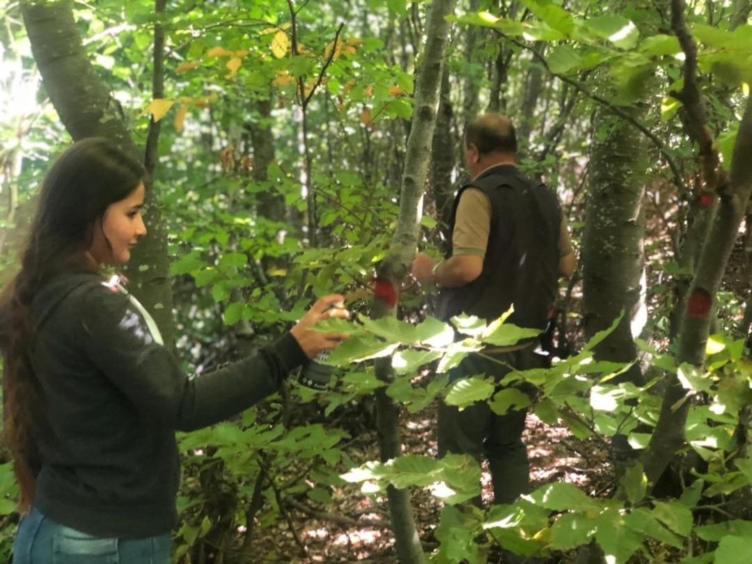 &Ouml;ğrencilere ormanda tatbik&icirc; eğitim