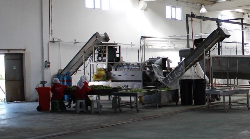 Tarımsal &uuml;r&uuml;nler Avrupa sofralarında