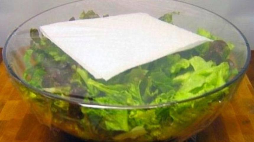 Artık çöpe atmıyoruz: Taze otları 2 günde bozulmadan nasıl saklayabiliriz?