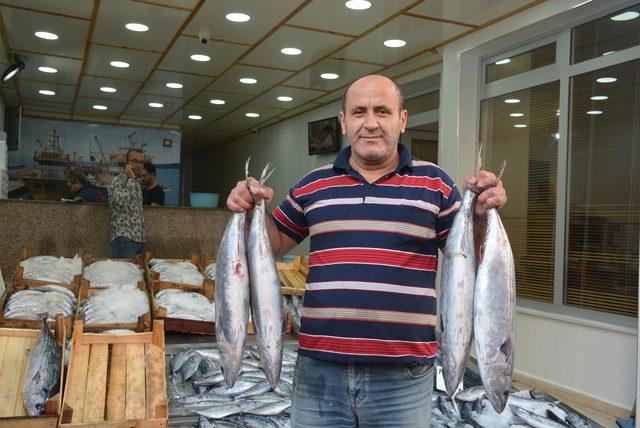 Karadeniz'de torik bereketi; tanesi 125 liraya satılıyor