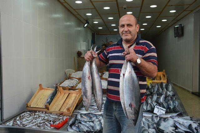 Karadeniz'de torik bereketi; tanesi 125 liraya satılıyor