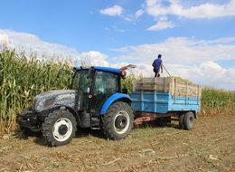 Gümüşhane'de 380 dekar arazi tarıma kazandırıldı