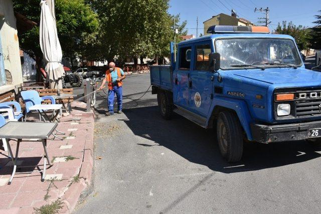 İnönü’de camiler ve park bahçeler ilaçlanıyor