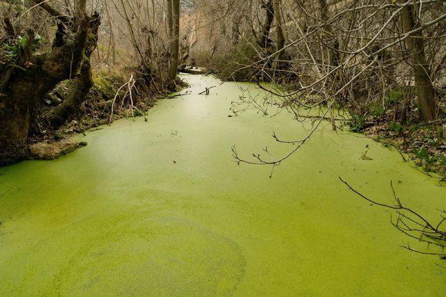 Büyük Menderes Nehri'ndeki kirliliğin önlenmesi için rehber hazırlandı