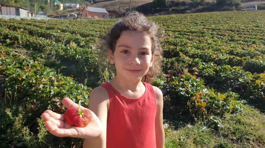 Kalp şeklindeki &ccedil;ilek sosyal medyada ilgi &ccedil;ekiyor