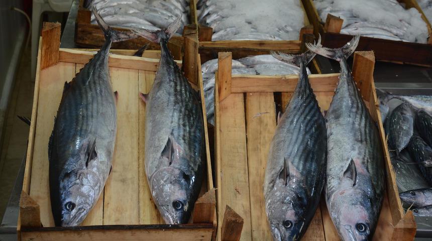  Karadeniz'de torik bereketi; tanesi 125 liraya satılıyor