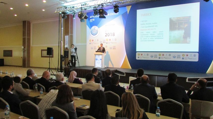 Afyonfest Turizm Zirvesi yapıldı