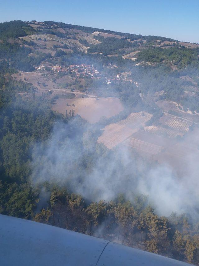 Balıkesir'de zirai alanda başlayan yangın ormana sıçradı (2)