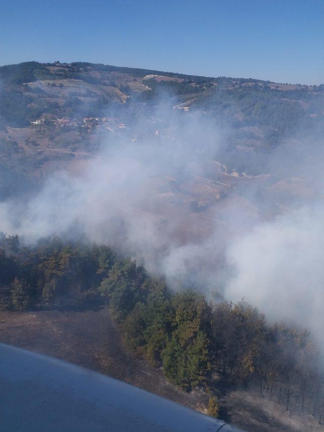 Balıkesir'de zirai alanda başlayan yangın ormana sıçradı (2)