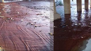 Aydın İl Çayı Deresi kırmızı akıyor! Vatandaşlar tedirgin, araştırma başlatıldı