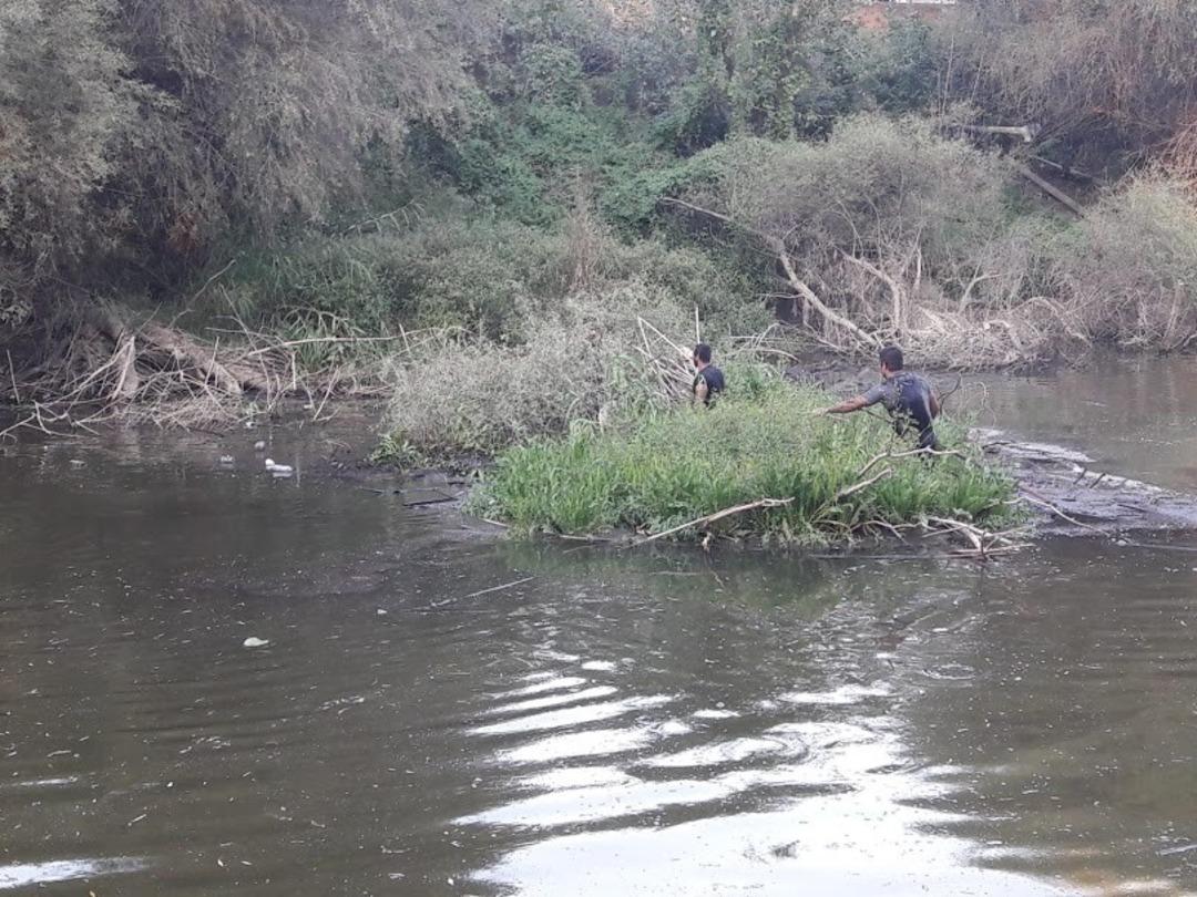 &Ccedil;ine &Ccedil;ayı bereket sa&ccedil;ıyor