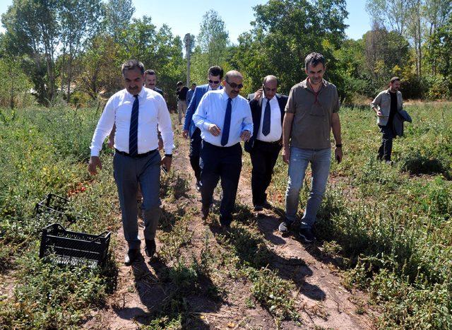 Ahlat ta Cumhurbaşkanlığı K&ouml;şk&uuml; i&ccedil;in 10 bin metrekare yer teklifi 3