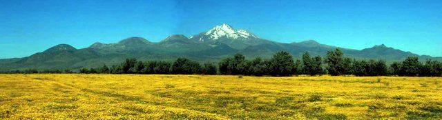 Adını Erciyes Dağı ndan alan &ccedil;i&ccedil;ek ve bitkiler kitap oluyor 2