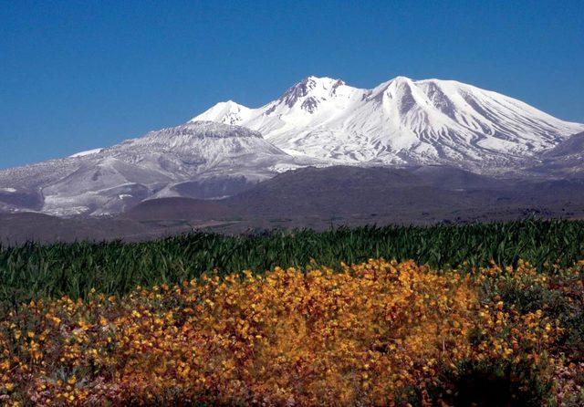 Adını Erciyes Dağı ndan alan &ccedil;i&ccedil;ek ve bitkiler kitap oluyor 3