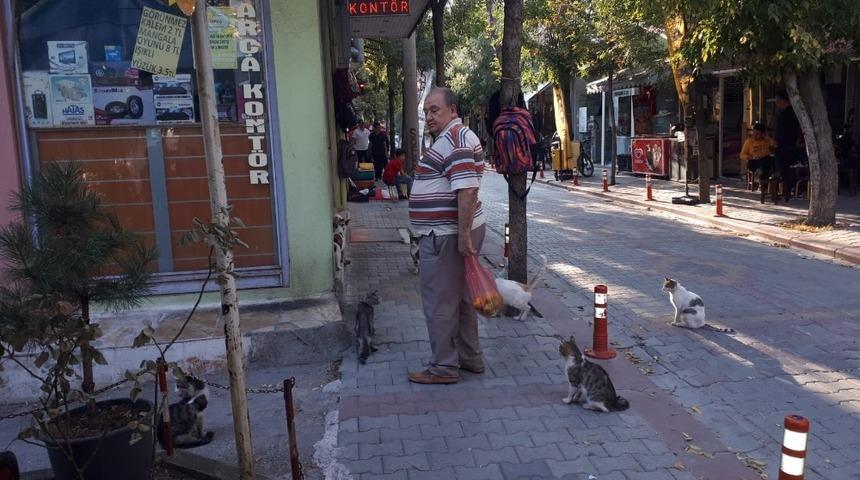 40 yıldır kedi besliyor