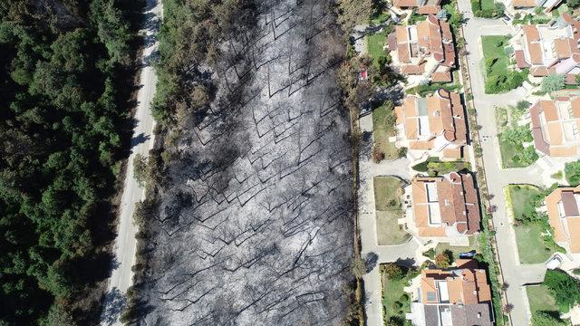 Mudanya'da yanan orman alanının temizlenmesine başlandı