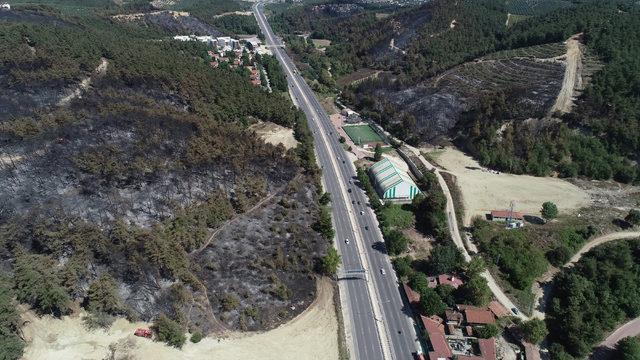 Mudanya'da yanan orman alanının temizlenmesine başlandı