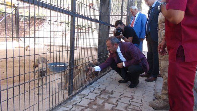 Turceli'de sokak hayvanları bakımevi, törenle açıldı