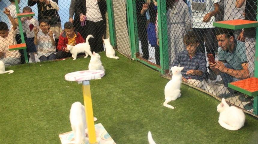 &Ouml;zel eğitim &ouml;ğrencileri, Van&rsquo;ın tarihi ve turistik yerlerini gezdi