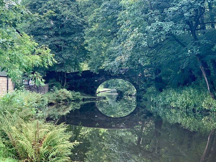 İşte yeni iPhone’larla çekilmiş fotoğraflar (Apple’ın CEO’su paylaştı)  G2