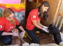 Akbank 2 bin üniversiteliyi "Şehrin İyi Hali" projesine çağrıyor