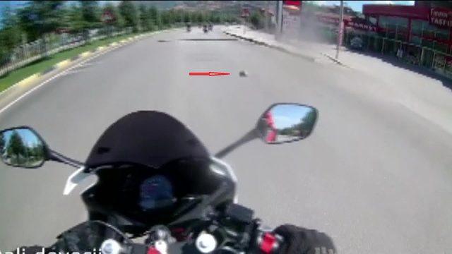 Motosikletli gençten örnek davranış; kaplumbağayı ezilmekten kurtardı