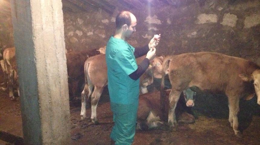 Ağrı&rsquo;da sonbahar aşısı başladı