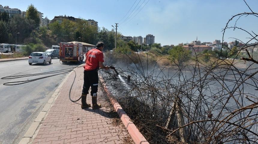 Çalılık alanda yangın