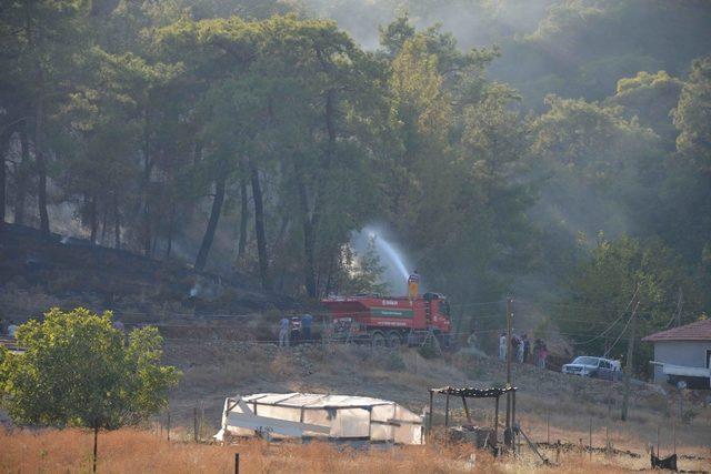 Ortaca’da orman yangını