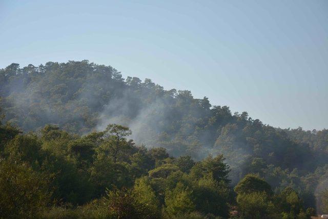 Ortaca’da orman yangını