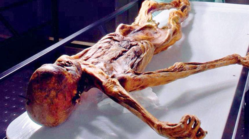 Buz Adam &Ouml;tzi'yle ilgili merak edilen m&uuml;rekkep sorusu yanıt buldu