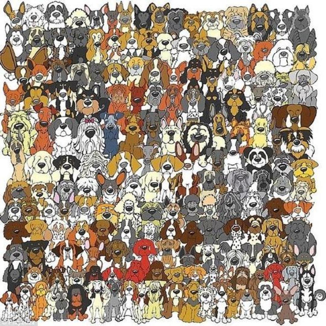 'Beyin yakan test' interneti kasıp kavuruyor! 