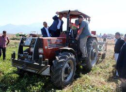 Osmaniye'de yer fıstığı hasadına başlandı