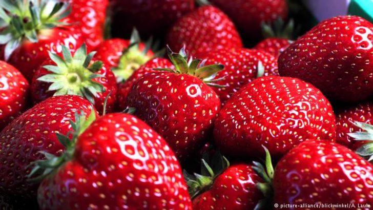 Şansa yaşıyoruz şu hayatta! En çok ses getiren gıda skandalları G1