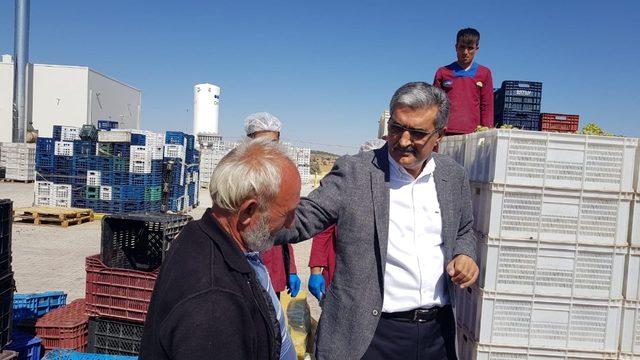 Torku, çiftçiden doğrudan üzüm alarak üreticiyi mutlu etti