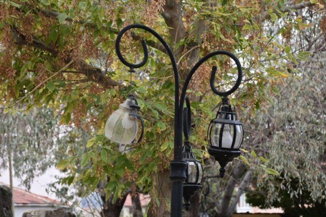 Magandalar parkı tahrip etti