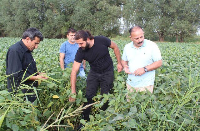 Iğdır’da soya toprakla buluştu