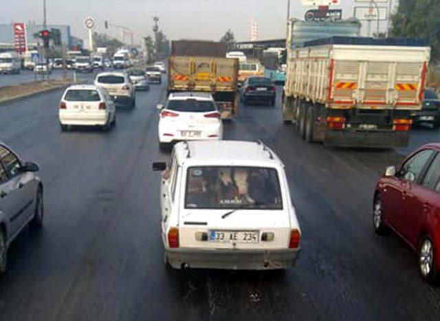 Otomobilin arka koltuğunda 2 tosun taşıdı