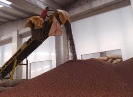 Üreticiden 12 liraya alınan fındık işlenip, 60 liraya satılıyor