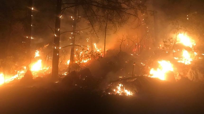 Bozb&uuml;k&rsquo;te orman yangını