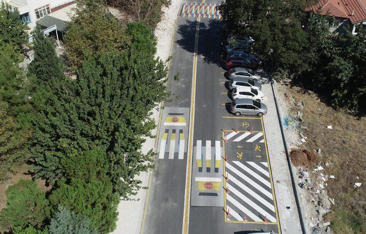 Sürücüler bu yaya geçidini görünce mecburen yavaşlıyor  G3