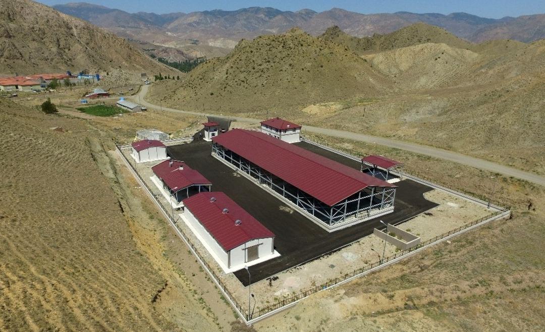 Canlı hayvan pazarları &ccedil;ift&ccedil;iye can simidi oldu