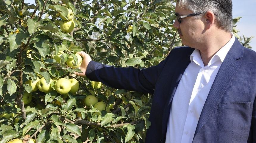 Eskişehir&rsquo;e entegre elma bah&ccedil;eleri kuruluyor