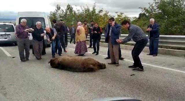 Kazada ölen ayıya Allah kahretsin seni; arabam mahvoldu diye beddua etti (2)- (Yeniden) 1