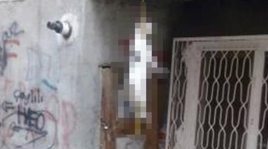 Tokat'ta ipe asılı kedi bulundu! Polis çalışma başlattı