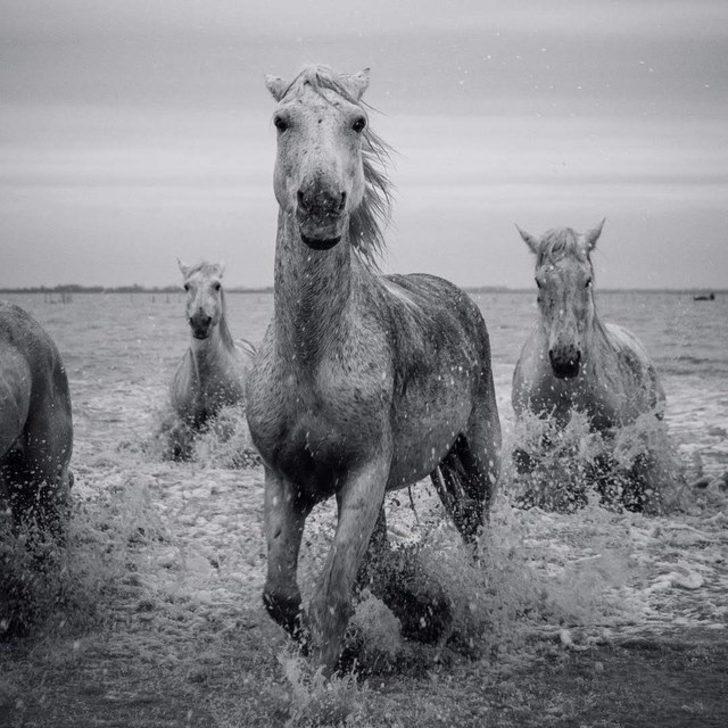 Onlar Instagram'ın en iyileri! Aralarında Türk de var G2